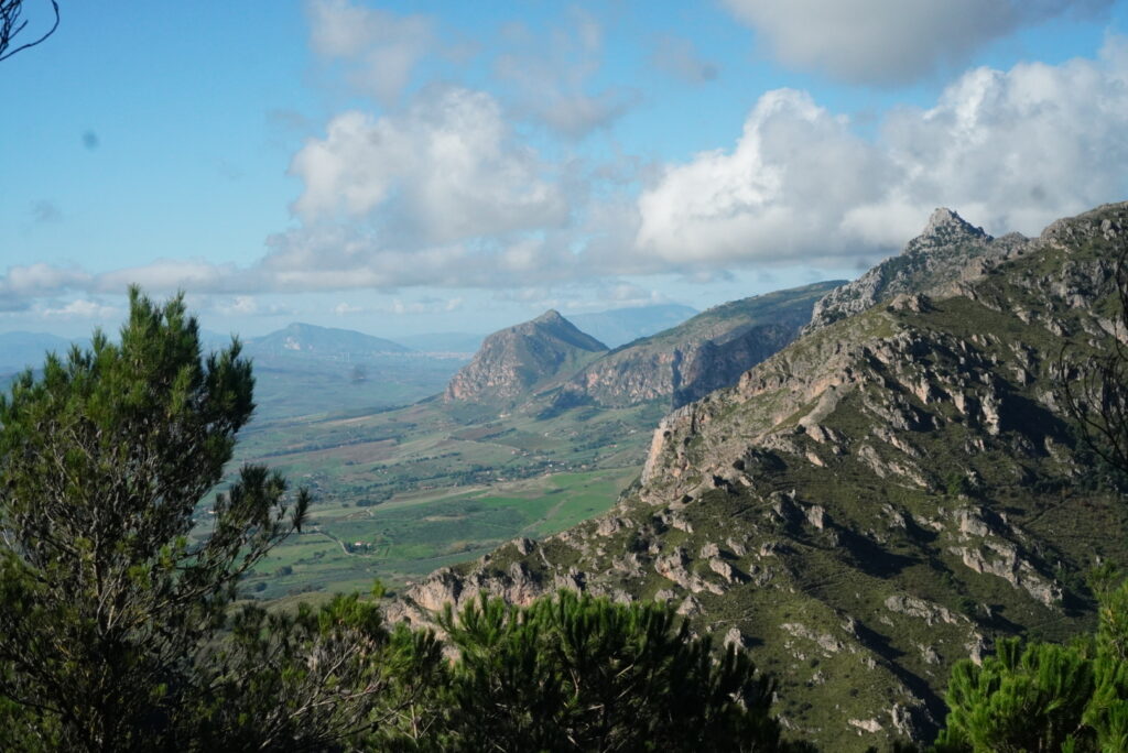 DSC09870